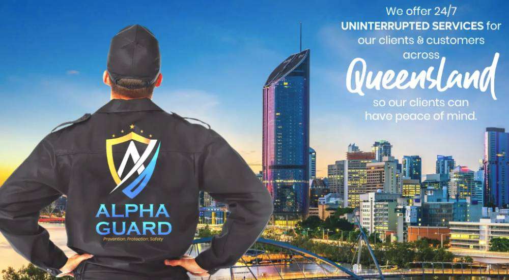 Alpha Guard SEO case study